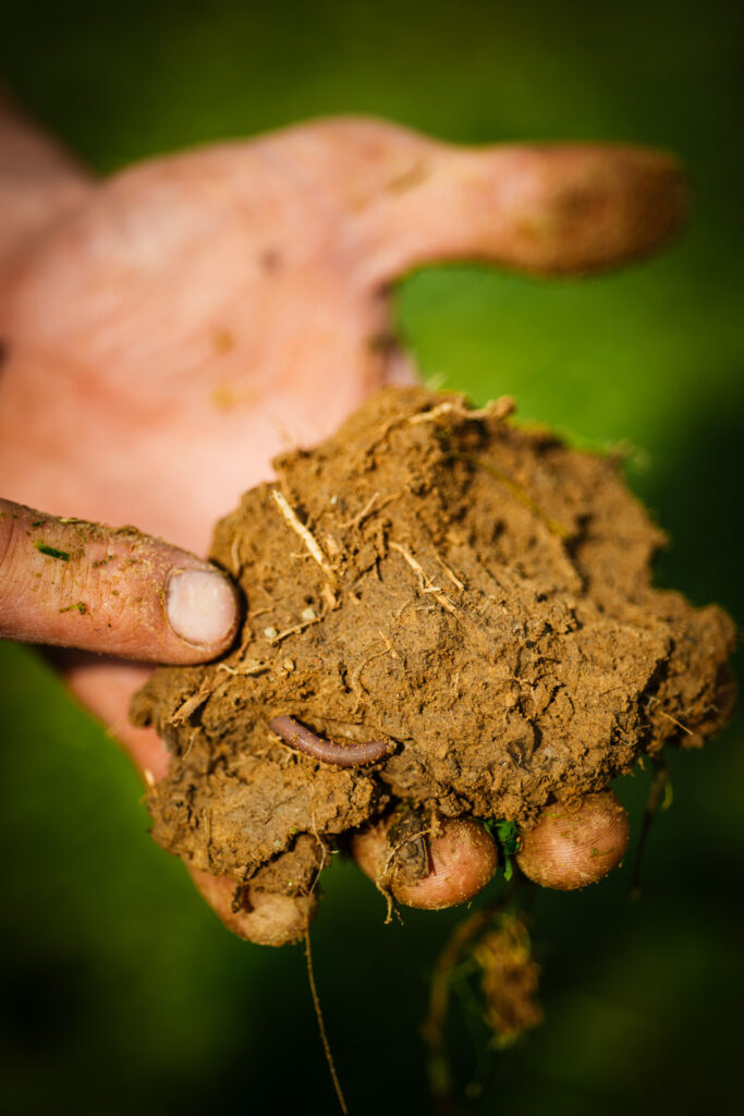 I Custodi della Terra