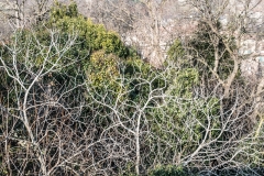 PianuraPadana_004